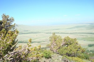 View of Cenntenial Wyoming